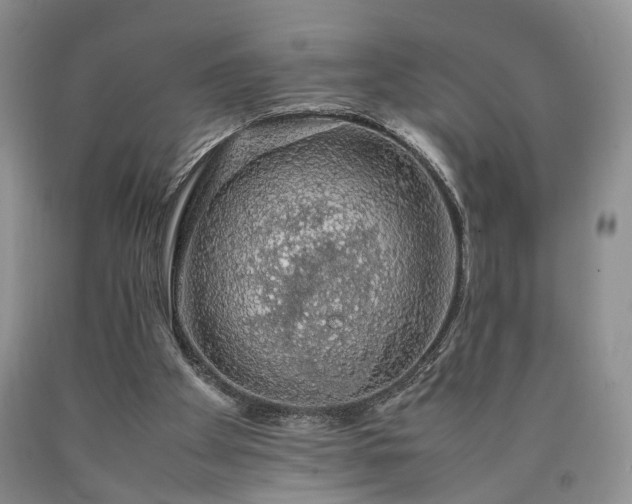 X0000090450105200707201322