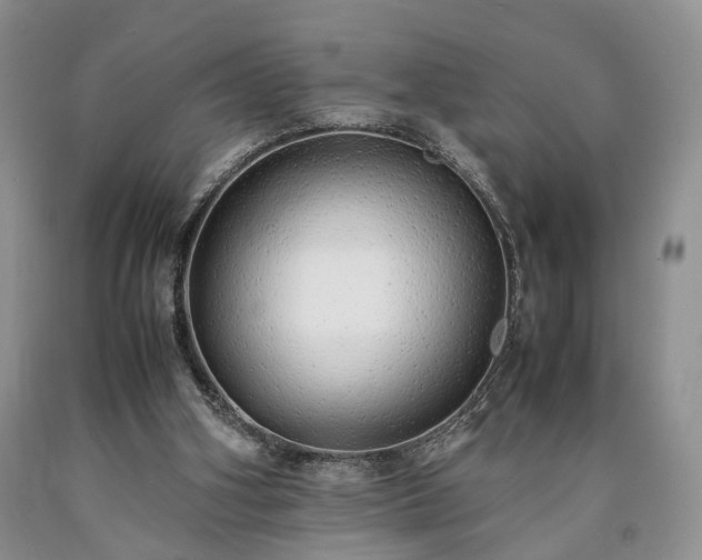 X0000090450106200707201321