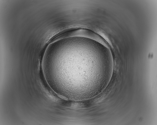 X0000090450109200707201321