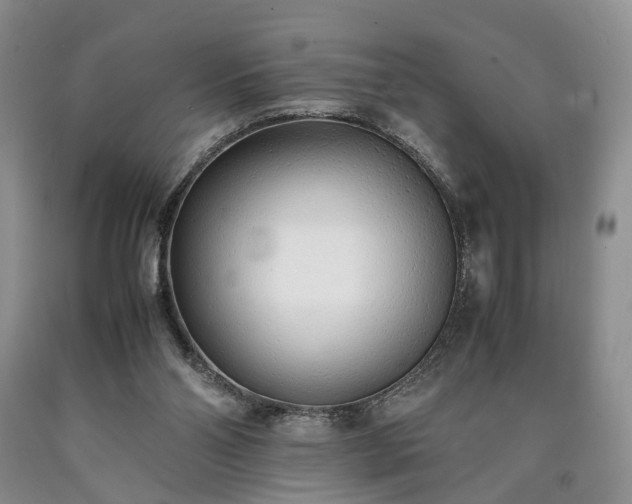 X0000090450110200707201321