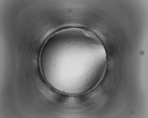 X0000090450111200707201321