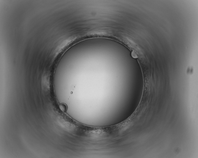 X0000090450112200707201321