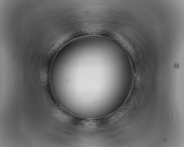 X0000090450113200707201321