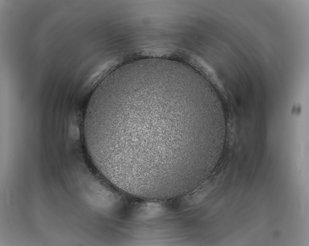 X0000090450114200707201321