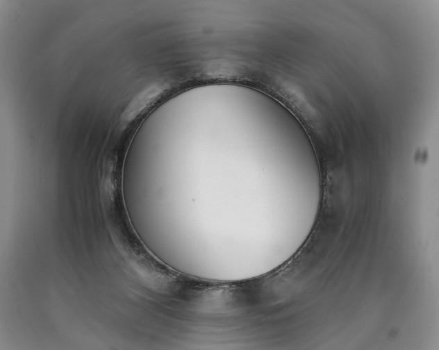 X0000090450116200707201321