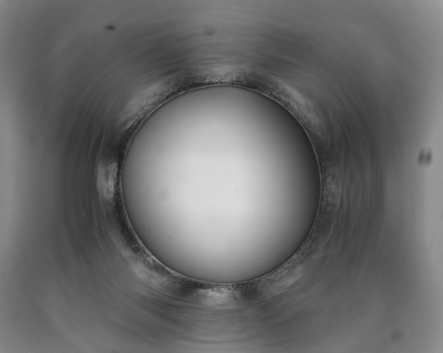 X0000090450118200707201321