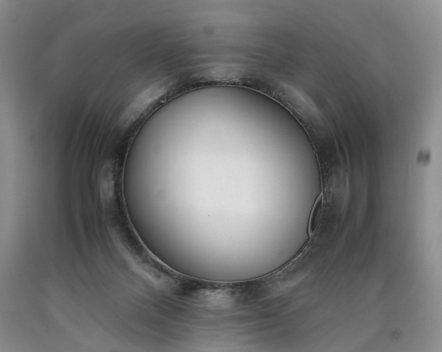 X0000090450120200707201321