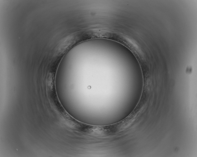 X0000090450121200707201321