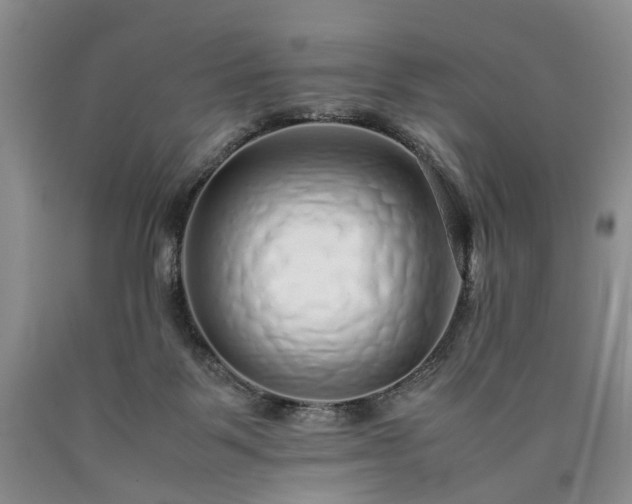 X0000090450123200707201321