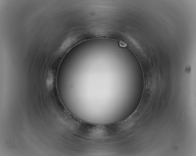 X0000090450124200707201321