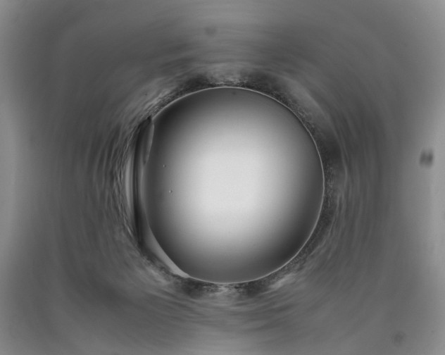 X0000090450125200707201321