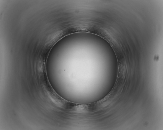 X0000090450126200707201321