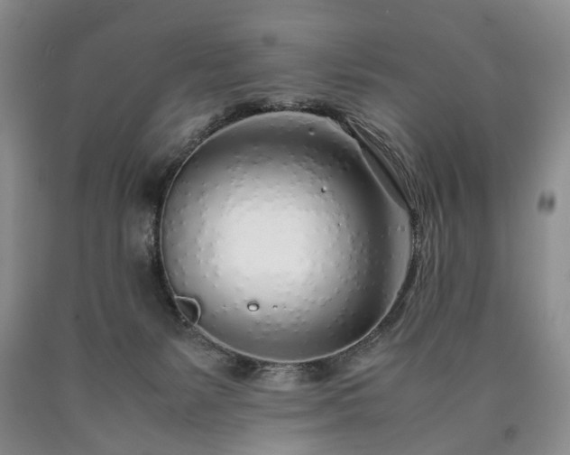 X0000090450127200707201321