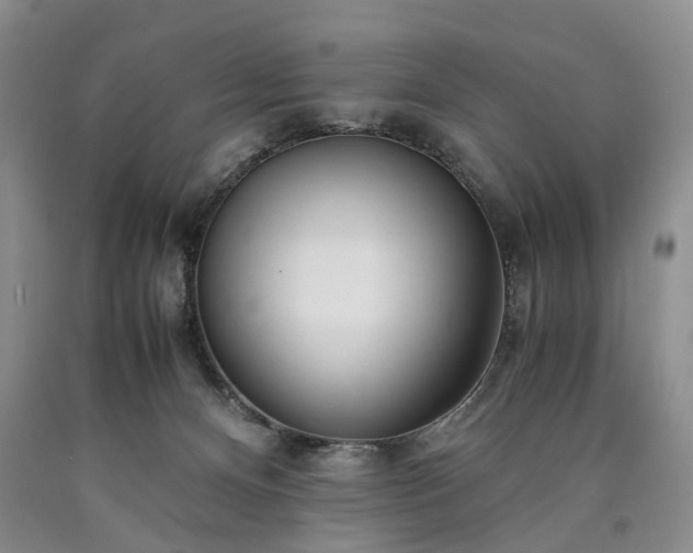 X0000090450128200707201321