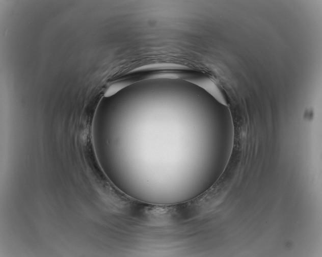 X0000090450129200707201321