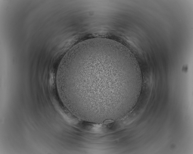 X0000090450130200707201321