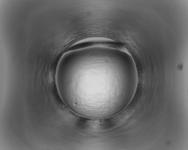 X0000090450131200707201321