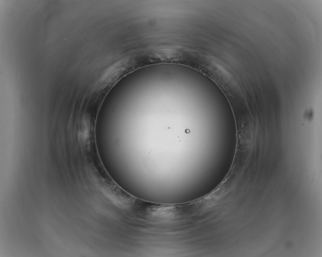 X0000090450132200707201321