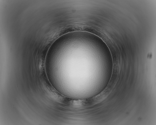 X0000090450134200707201321