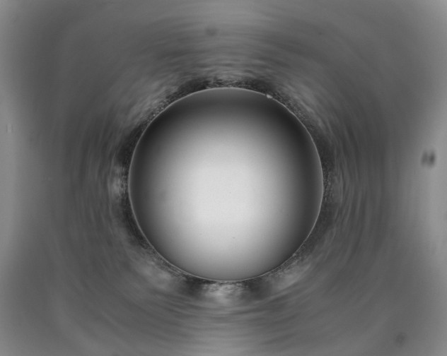 X0000090450135200707201321