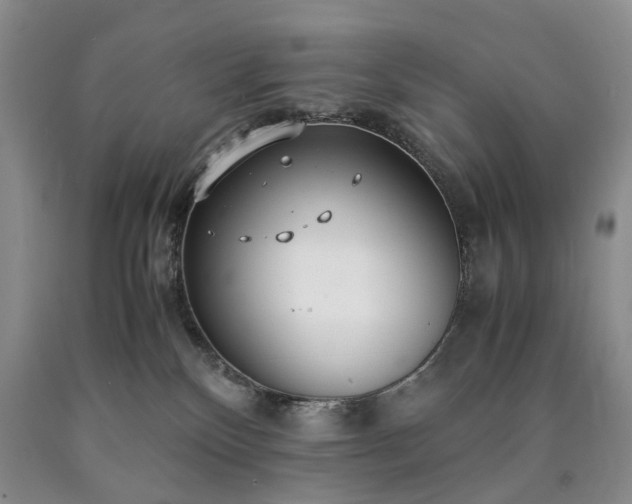 X0000090450136200707201321