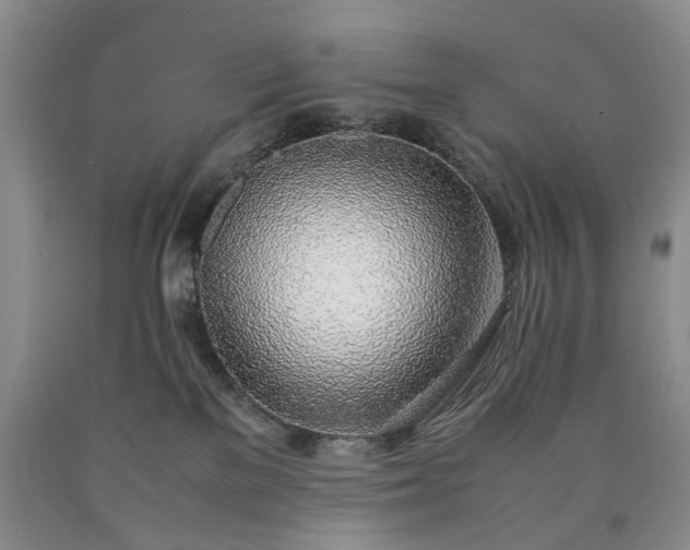 X0000090450137200707201321