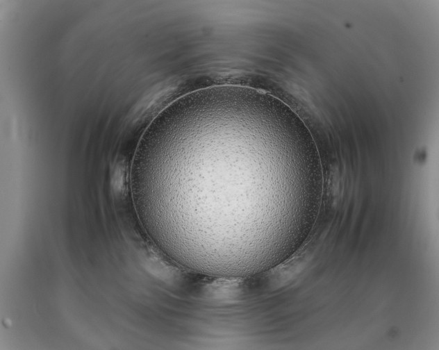 X0000090450138200707201321