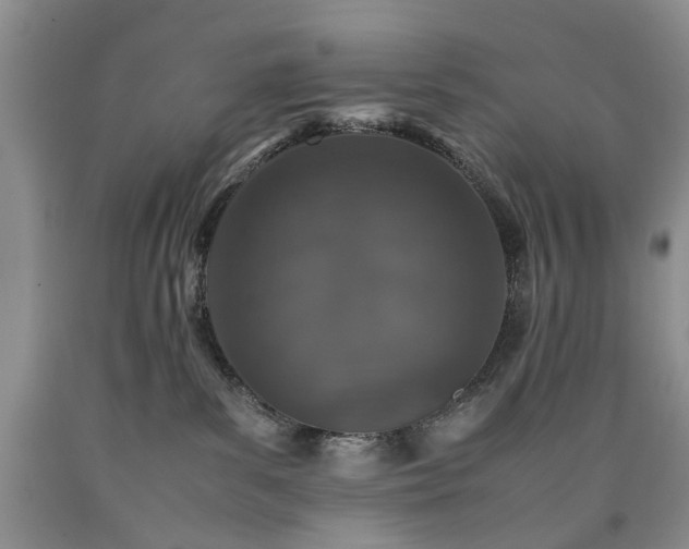 X0000090450139200707201321