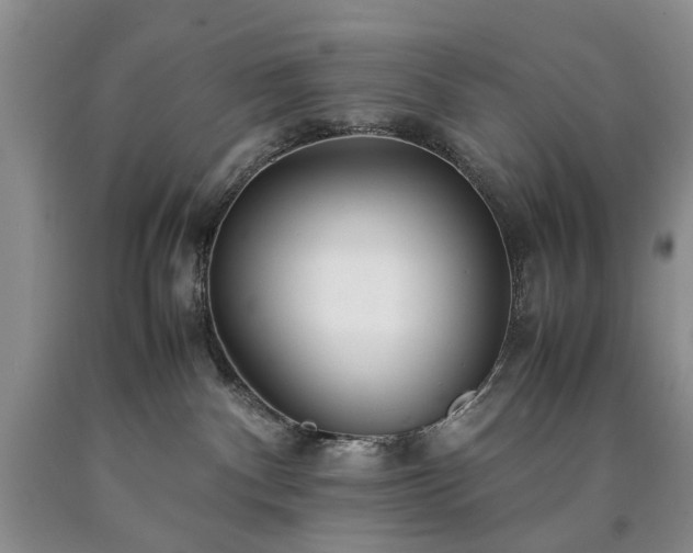 X0000090450140200707201321