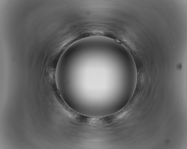 X0000090450141200707201321