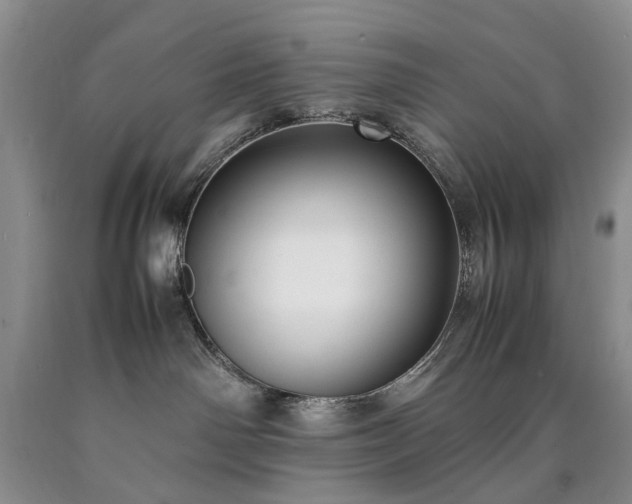 X0000090450142200707201321