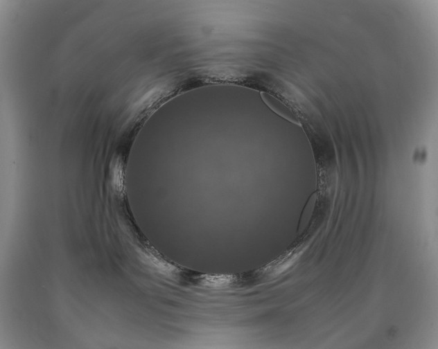 X0000090450143200707201321