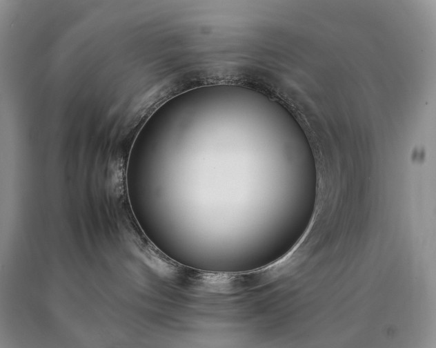 X0000090450144200707201321