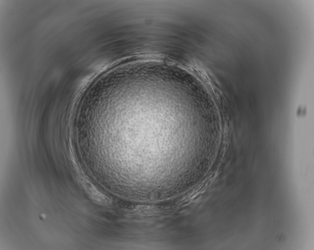 X0000090450145200707201320