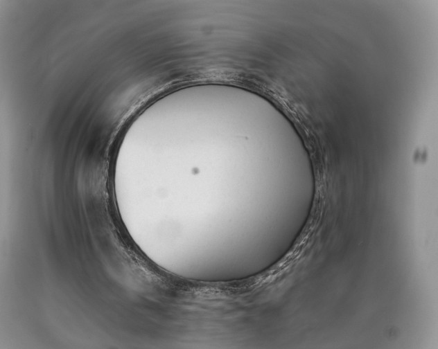 X0000090450146200707201320