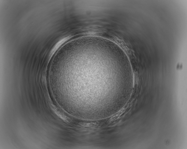 X0000090450147200707201320