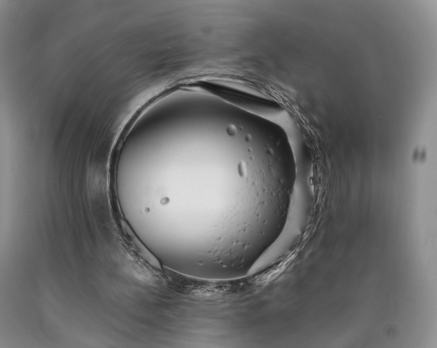 X0000090450148200707201320