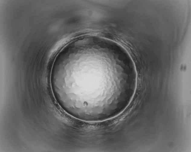 X0000090450149200707201320