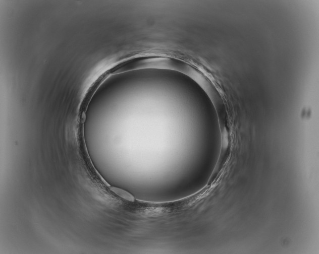 X0000090450152200707201321