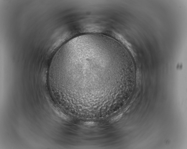 X0000090450153200707201321