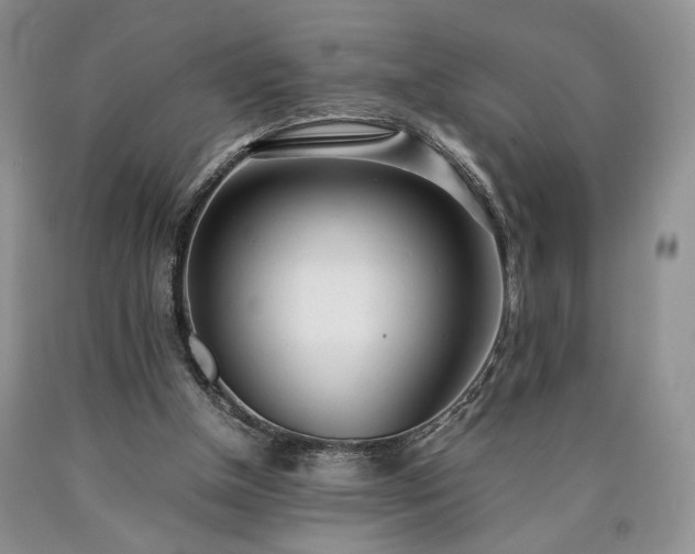 X0000090450154200707201321