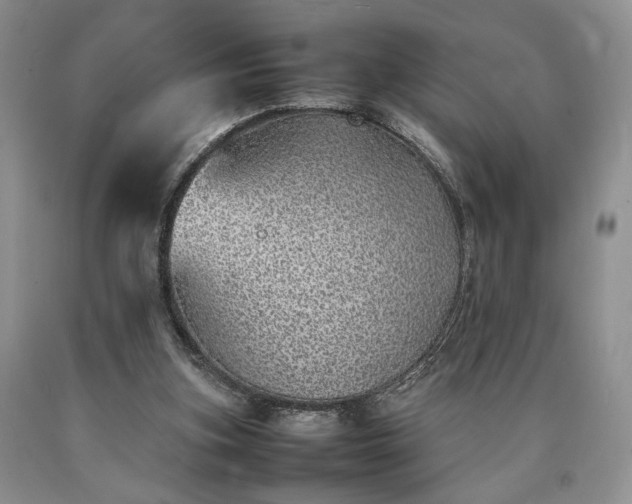 X0000090450155200707201321