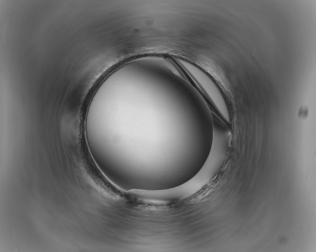 X0000090450156200707201321