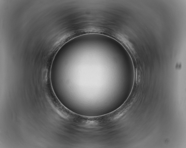 X0000090450157200707201321