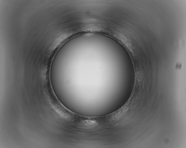 X0000090450159200707201321