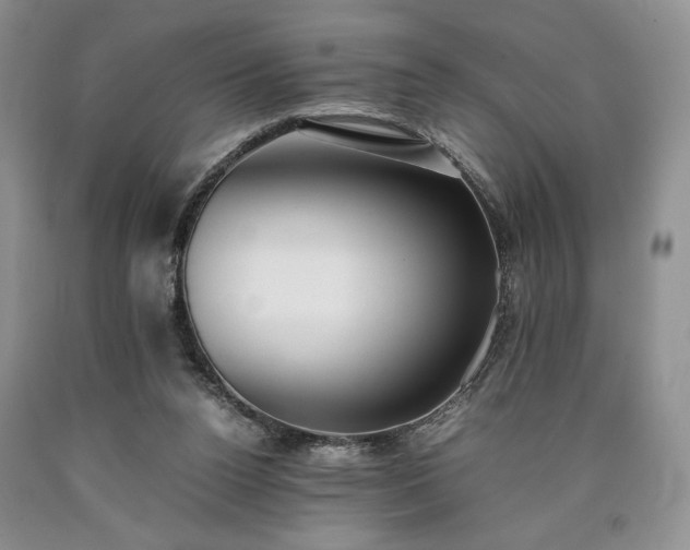 X0000090450160200707201321