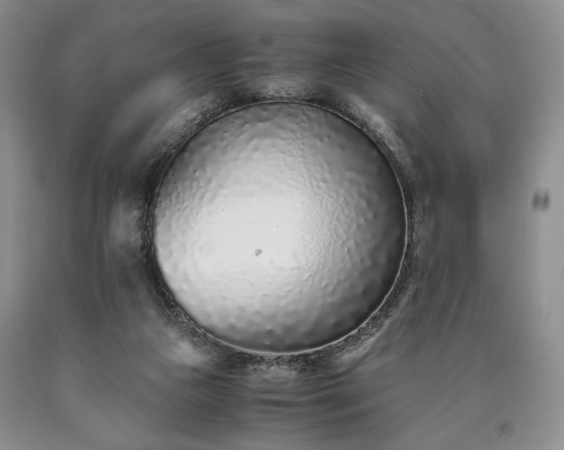 X0000090450161200707201321