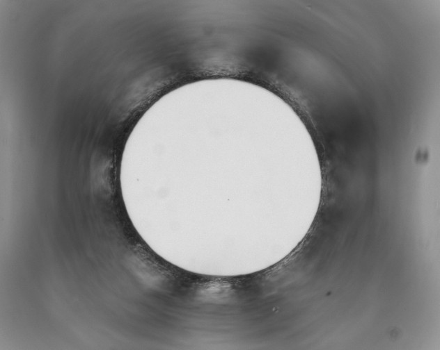 X0000090450162200707201321