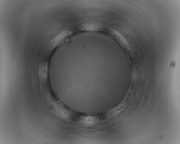 X0000090450163200707201321