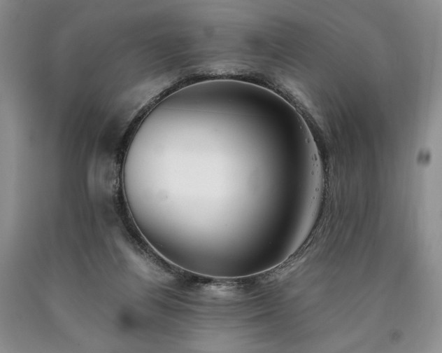 X0000090450164200707201321